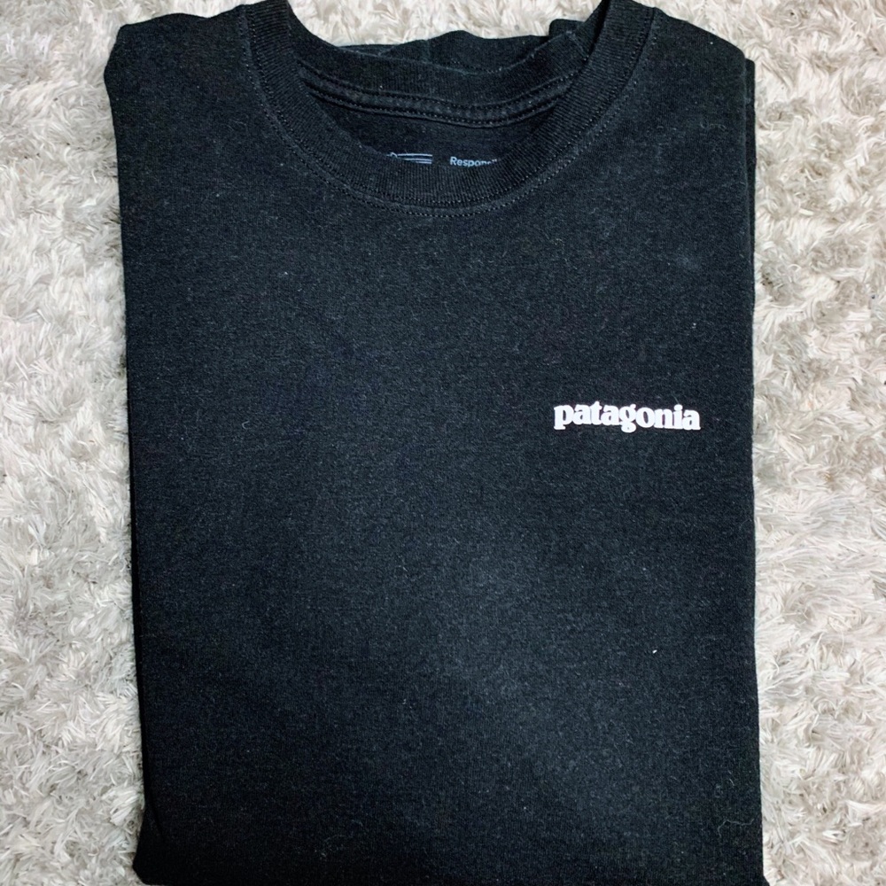 patagonia tshirt